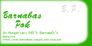 barnabas pok business card